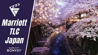 MATTE | The Luxury Collection - Marriott Bonvoy Tokyo Japan