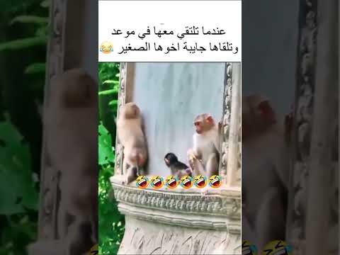 #تابعوني اذا كنت نستاهل بالطبع و كثر خيركم ❤️ #love #ضحك #ضحكة #زواج #شورت #تيك_توك #انستقرام