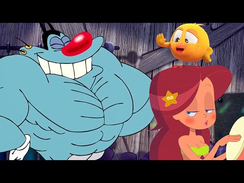 Oggy And the Cockroaches, Zig & Sharko, Where's Chicky ! 🤩 New Cartoon Compilation