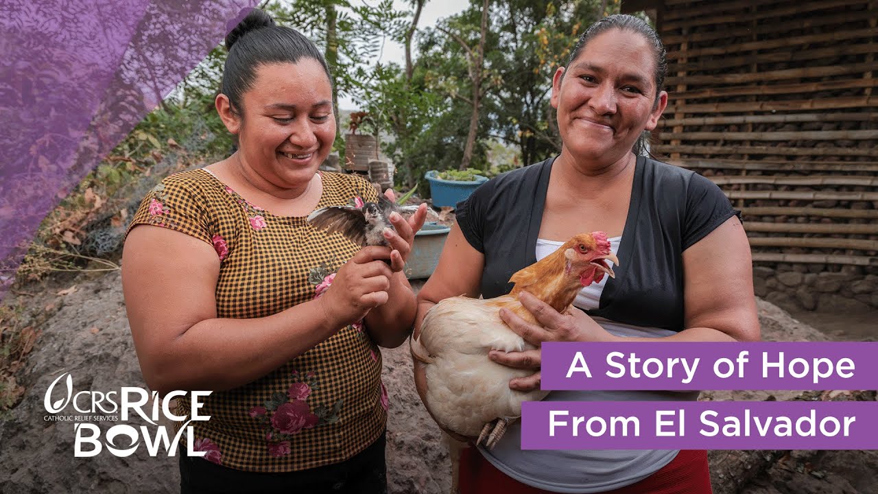 Raising Chickens in El Salvador as a New Livelihood