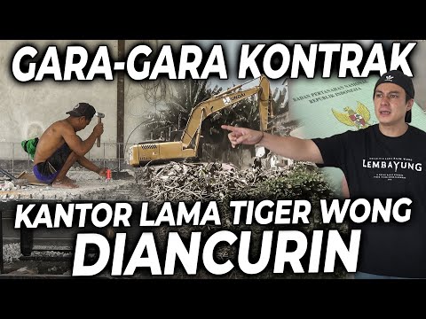 KAGET ADA BANYAK ORANG NGEJEBOL BANGUNAN KANTOR TIGER WONG LAMA!!