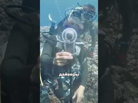 Что-то может скрываться на дне Марианской впадины?