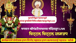 #भजन भगवान श्री पंढरीनाथाच्या मंदिरातून Live