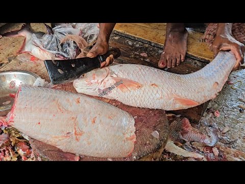 Amazing Mrigal egg Fish Cutting Skills In Bangladesh Local Fish Market By Expert Cutter