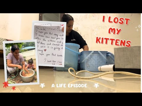 Life with pets | Sowbhagya Venkitesh