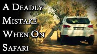 A Deadly Mistake When On Safari | Fascinating Horror