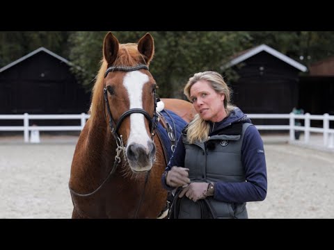 7 Jahre Bodenarbeit - Wird der Auktionswallach noch zum Reitpferd? | Pferdetraining Doku