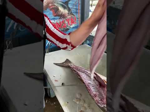 Filleting The TOUGHEST Inshore Fish In UNDER 1 Minute… #Shorts
