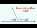 Understanding the Transcript