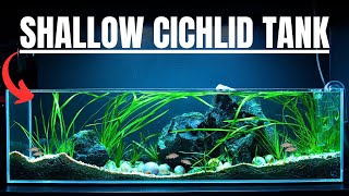 I MADE A SHALLOW AQUARIUM FOR THE WORLD'S SMALLEST CICHLID