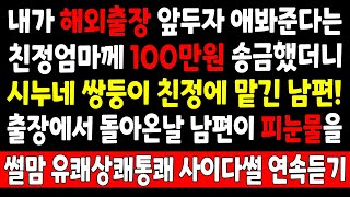 반전실화_내가 해외출장 앞두자 애봐준다는 친정엄마께 100만원 송금했더니 시누네 쌍둥이 친정에 맡긴 남편! 출장에서 돌아온날 남편이 피눈물을 흘리는데_사연라디오 라디오사연 사이다썰