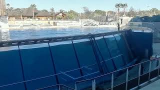 Ocra show Antibes Marineland