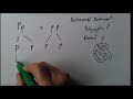 Genetics of Polycystic Kidney Disease