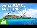Bio-Erosion and Its Impact