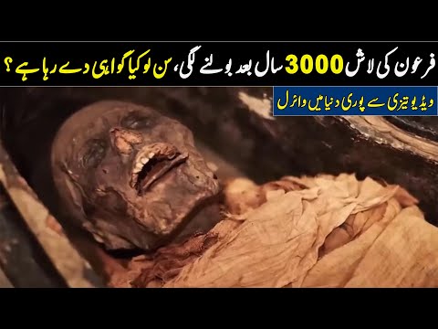 What miracle happened to Pharaoh's body? | ilm Ki Baat