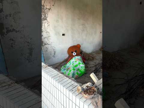 टेडीबियर सिनिमा घर में चला गया 😱 टेडीबियर में भूत 👻 | Teddy bear | 🐻 #teddybear #viral #shorts