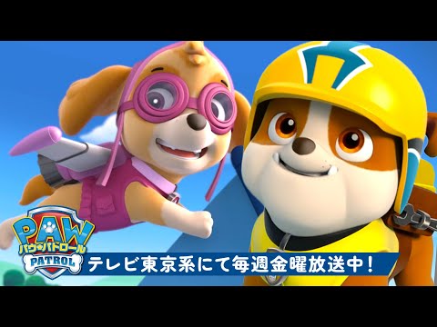 パウ・パトロール | パウ・パトロール シーズン１のレスキュー名場面集60分！🐾  | テレビ東京系にて放送中