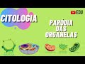 Cell Organelles and Their Functions