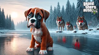YAVRU BOXER KÖPEĞİ BALBOA'NIN ÜZÜCÜ HİKAYESİ! - GTA 5 PİTBULL'UN HAYATI