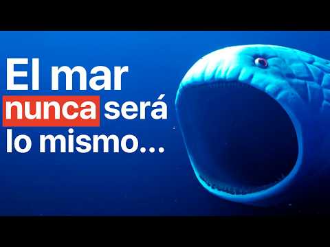 The Bloop, El Misterioso Sonido Del Mar...