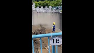 American tourists busted after invading Punch the monkey’s enclosure