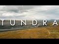 Tundra Ecosystem Knowledge Assessment