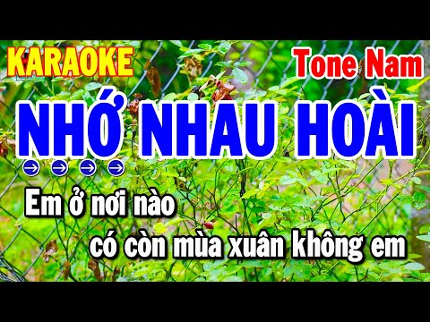 Karaoke Nhớ Nhau Hoài Tone Nam Nhạc Sống Chuẩn Dễ Hát 2025 | Thanh Hải