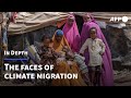 Climate Change Impacts and Responses