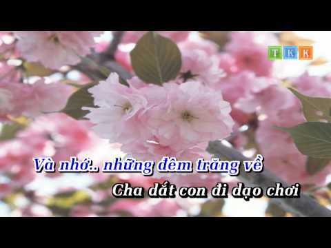 Nhớ Cha – Ngọc Sơn Karaoke Beat