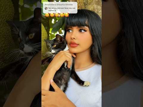 19 de novembro de 2025