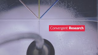 How Boston University Leads Convergent Research: Interdisciplinary Solutions for the Future