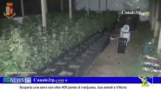 Scoperta una serra con oltre 400 piante di marijuana, due arresti a Vittoria