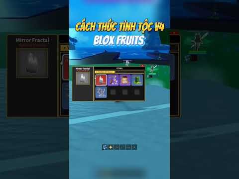 Cách Thức Tỉnh Tộc V4 Trong Blox Fruits |Maru #shorts #roblox #bloxfruits