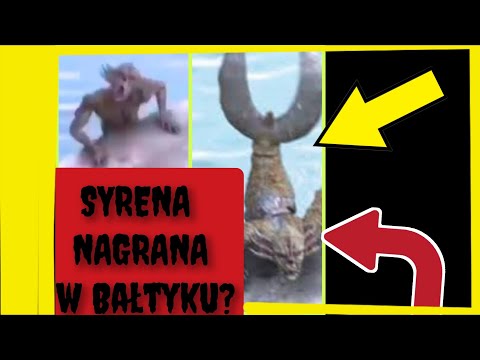 SYRENA Nagrana w Bałtyku   Prawdziwa SYRENA?