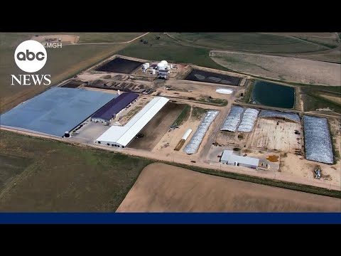 YouTube video thumbnail: Investigation Underway After Colorado Dairy Farm Accident Kills 6 People