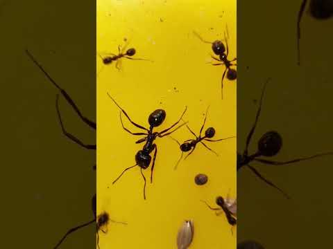 Épisode 6 bis : Une fin honorable