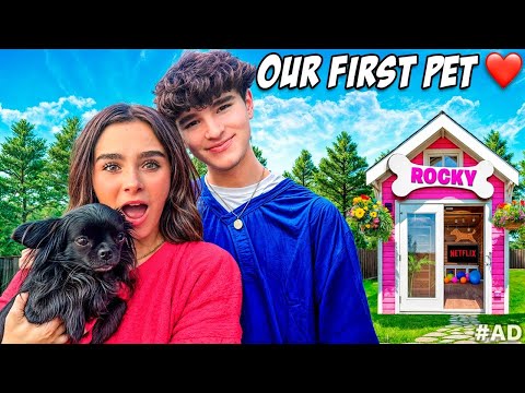 We Built a DREAM DOG HOUSE! 🐶