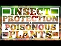 Insect Safety and Prevention Strategies