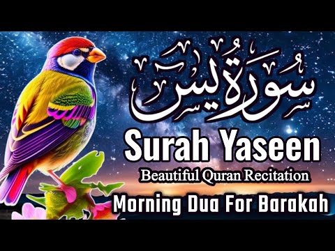 Surah Yasin (Yaseen) || سورہ یس 36 || Surah Yasin Full 7th Time || Morning Dua For Barakah || EP-029