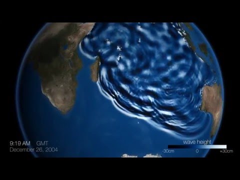 The 2004 Indonesia Tsunami