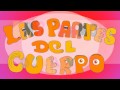 Partes del Cuerpo y la Cara
