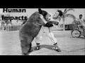 Human Impact on Ecosystems and Biodiversity