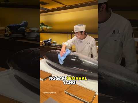 Kenapa tuna sirip biru di Indonesia tidak semahal di jepang? #shorts #shortsviral #fyp #bluefintuna