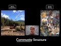 Biology Essentials: Communities and Ecology