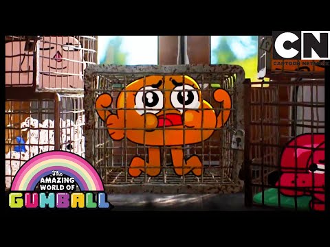 As Origens | O Incrível Mundo de Gumball | Cartoon Network 🇧🇷