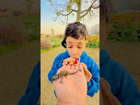 😲🤯🤯الحرباية بتغير لونها قدام الكامير!!INSANE Color Changing Chameleon