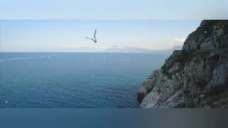 sleep music|meditation music|relaxation music|instrumental music|body relax music|yoga stress free