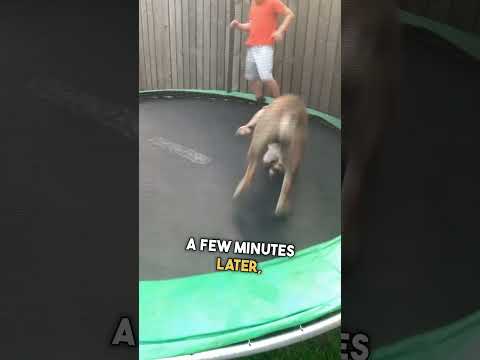 She was born for this 😂 😂