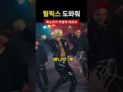 어떻게 목소리가 굴소스 #필릭스 #스트레이키즈