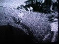 Understanding the Video Tutorial